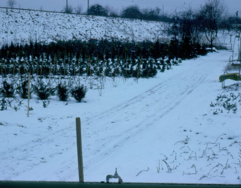 geschichte1965_wragge-gaerten